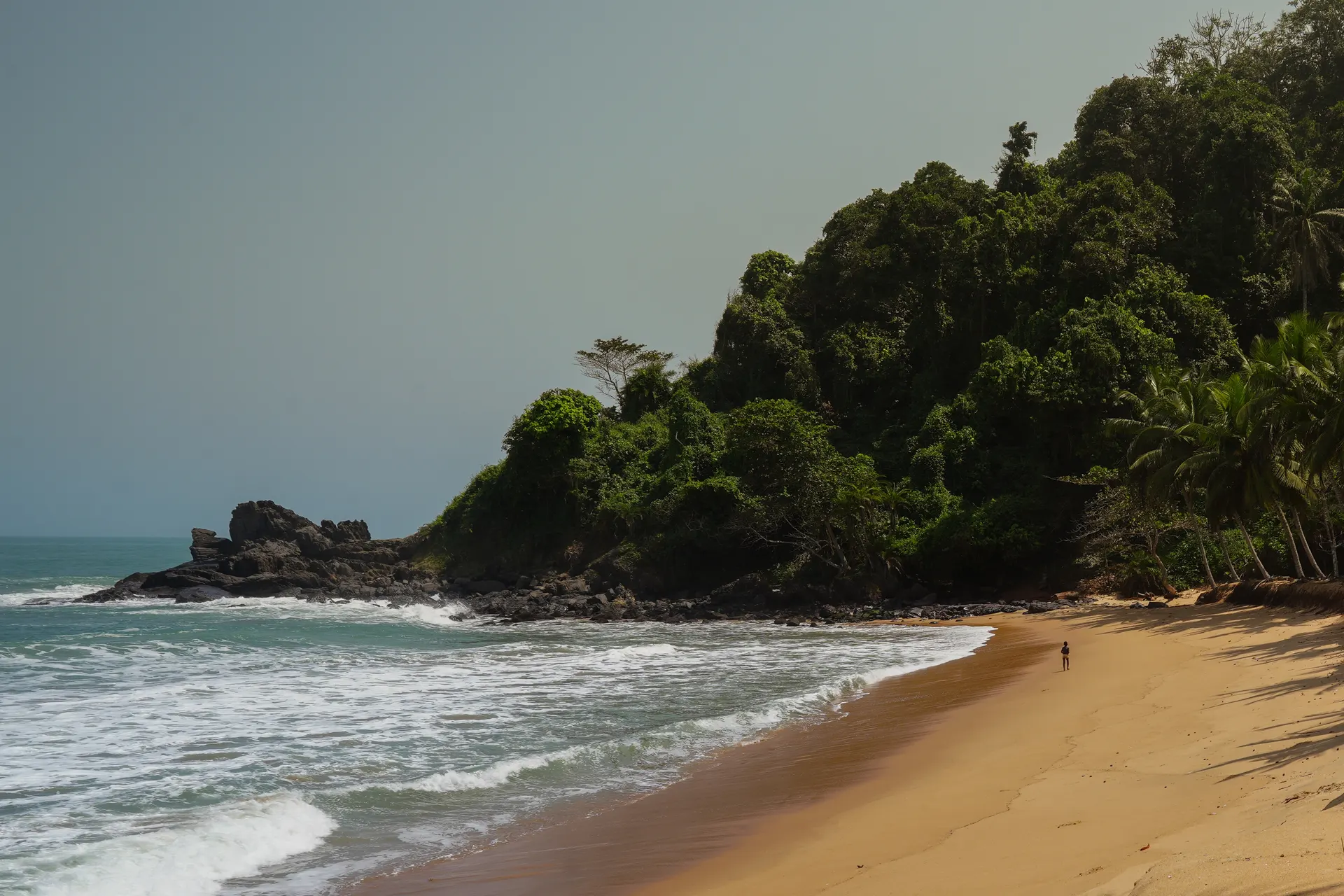 A quiet cove from the film: waves on a sand beach below a forested headland.