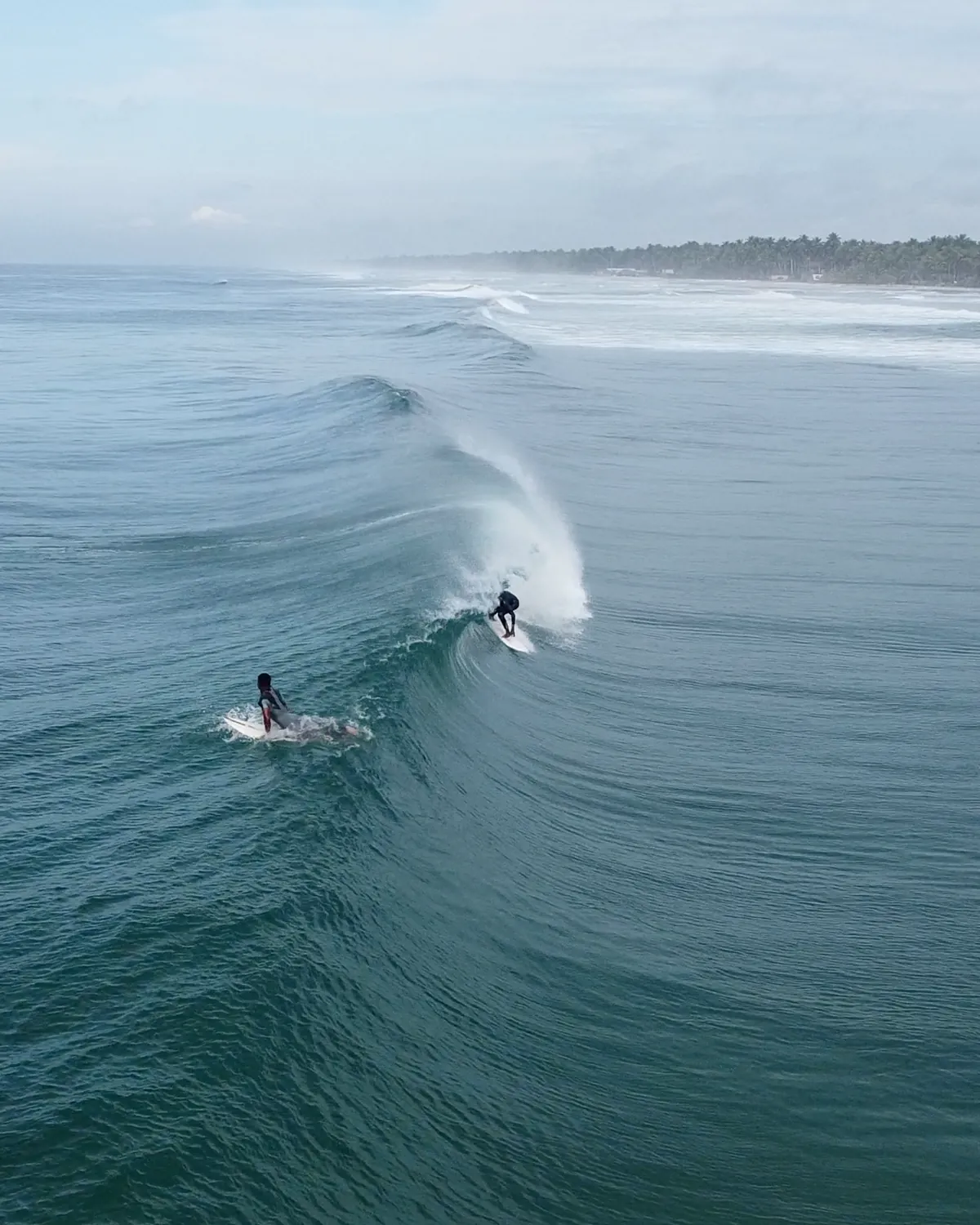 Deux surfeurs sur la même vague, la côte bordée de cocotiers d’Assinie derrière eux.