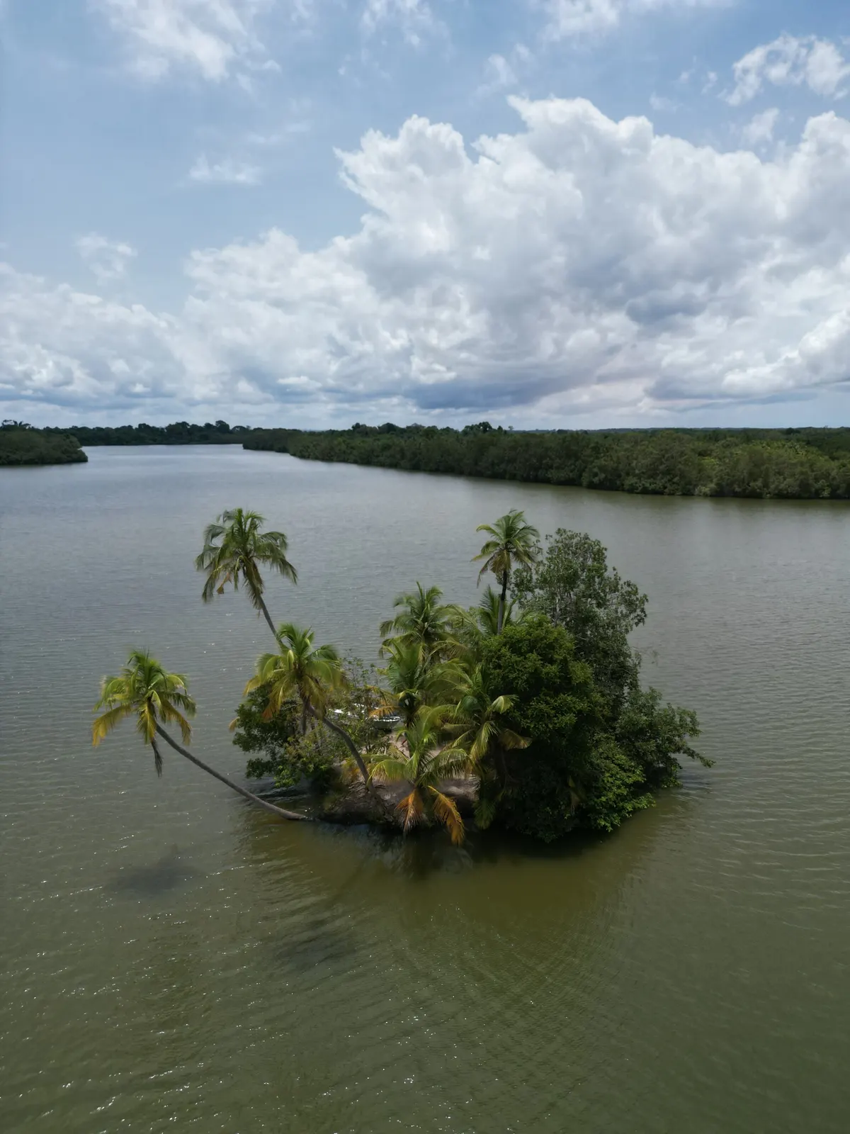 A small palm island in the lagoon, seen from the air.