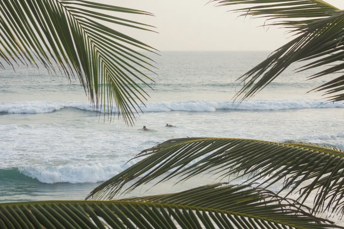 Palm fronds framing the waves and the surfers in the line-up.